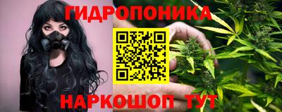 ПСИЛОЦИБИНОВЫЕ ГРИБЫ Новокубанск