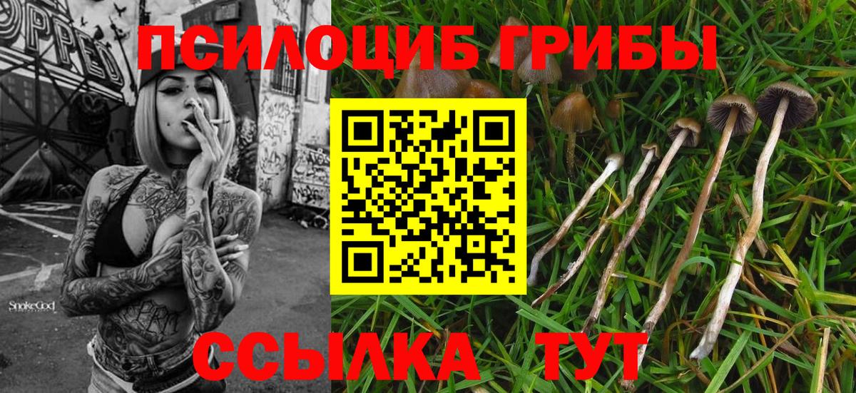 Галлюциногенные грибы прущие грибы  Псилоцибиновые грибы MAGIC MUSHROOMS  Прокопьевск  Вход с VPN 