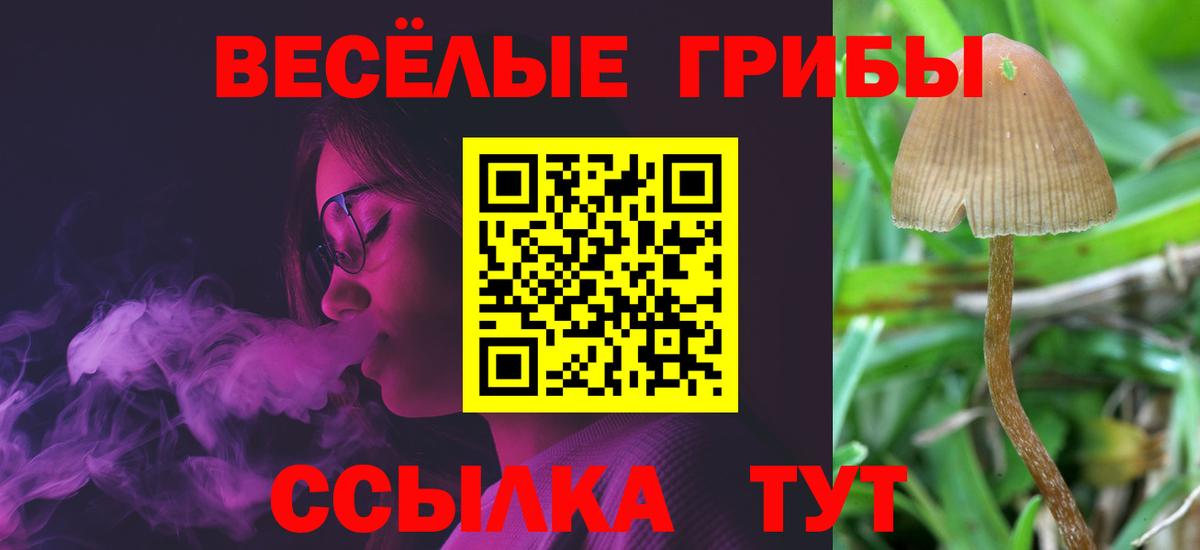 Галлюциногенные грибы Magic Shrooms Прокопьевск